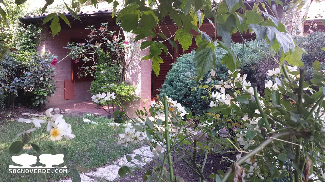 Villa in affitto Seregno - giardino privato